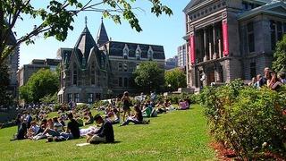 ABD öğrenci vize görüşmelerini durdurdu! Başvuruda bulunanların sosyal medya hesapları incelenecek