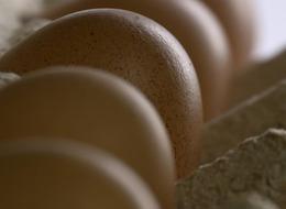 Sofralık yumurta ihracatında muafiyet düzenlemesi