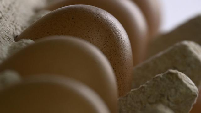 Sofralık yumurta ihracatında muafiyet düzenlemesi