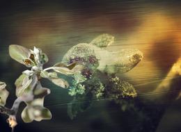 '6 şubat depremi gibi' 65 il felaketle karşı karşıya kaldı: Yüzde 100 zarar