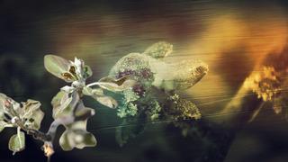 '6 şubat depremi gibi' 65 il felaketle karşı karşıya kaldı: Yüzde 100 zarar