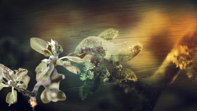 '6 şubat depremi gibi' 65 il felaketle karşı karşıya kaldı: Yüzde 100 zarar