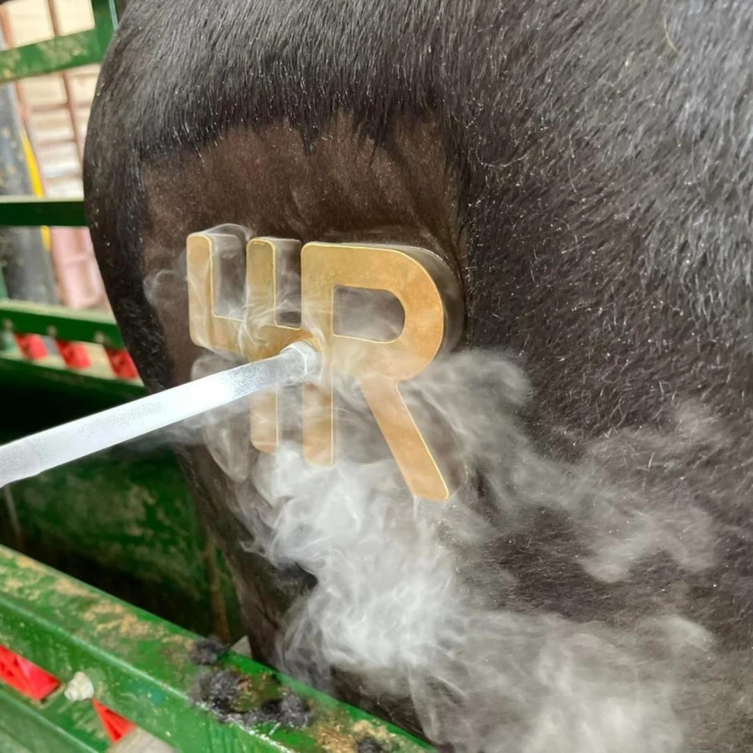 Yeni estetik trendi tehlike saçıyor! Vücutlarına damgalama yapıyorlar ama bakın sonucu ne oluyor! 4