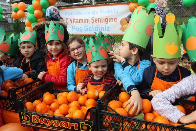 C vitamini şenliğinde 250 kilo portakal dağıtıldı