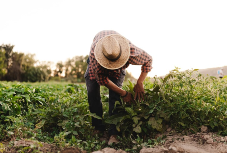 Eğer bir günlüğüne başka bir işte çalışabilecek olsan bu hangisi olurdu? 