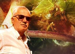 Bunları yetiştiren çiftçiler dikkat: Büyük tahribat oluşturuyor! Çiftçilerin kabusu oldu... 