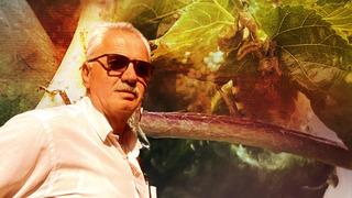 Bunları yetiştiren çiftçiler dikkat: Büyük tahribat oluşturuyor! Çiftçilerin kabusu oldu... 