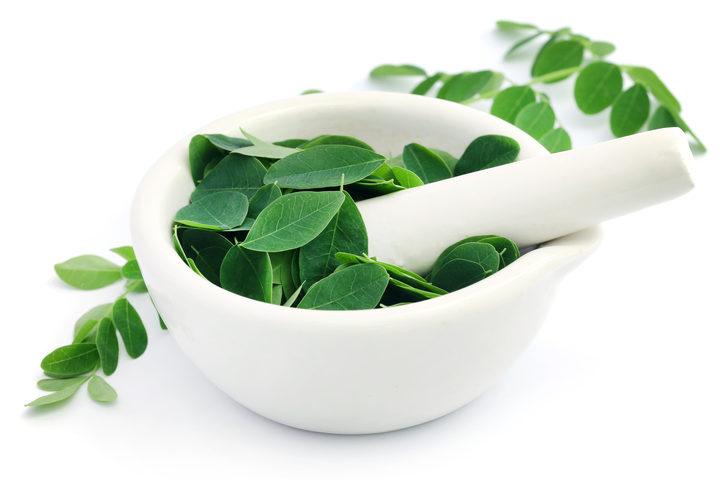 Moringa’nın kullanım alanları ve faydaları şöyledir;