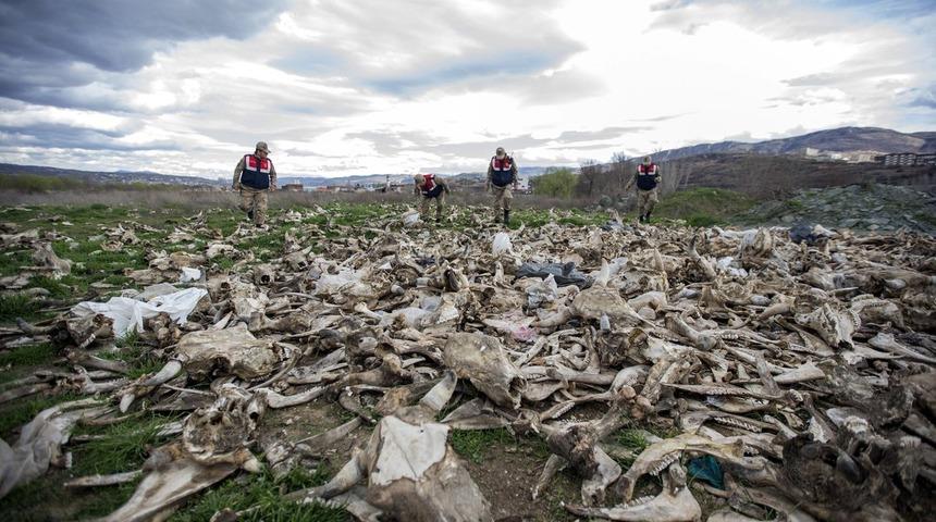 Jandarma devriye dönüşü fark etti! Yüzlerce...