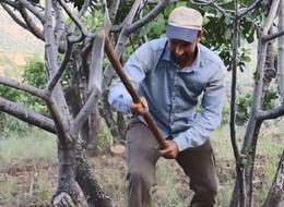 Üniversite mezunu ama para ettiği için bu işe başladı! Çocuk gibi bakım istiyor
