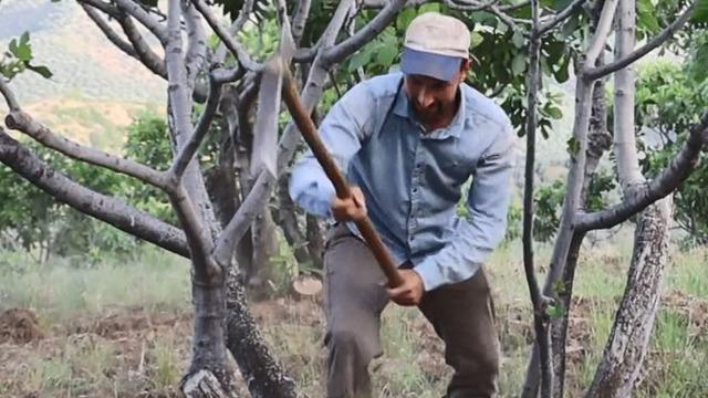 Üniversite mezunu ama para ettiği için bu işe başladı! Çocuk gibi bakım istiyor