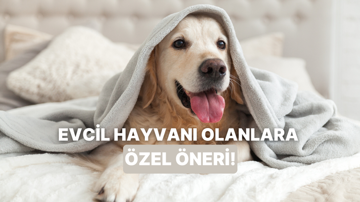 Bu testin sonunda evcil hayvanla yaşayanlara özel bir öneri var!