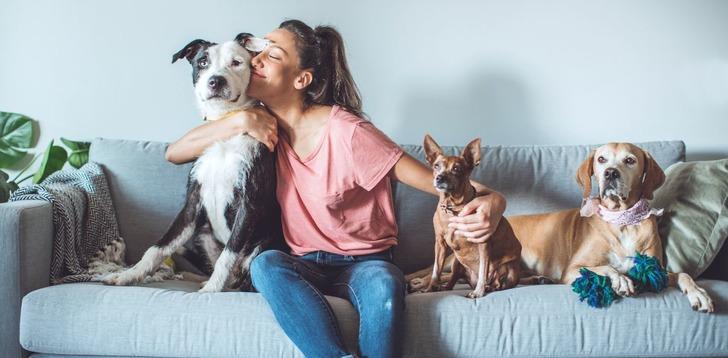 Evcil hayvanınla yaşarken en çok neye dikkat ediyorsun?