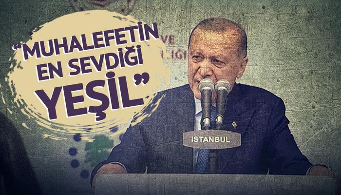 Muhalefetin en sevdiği yeşil