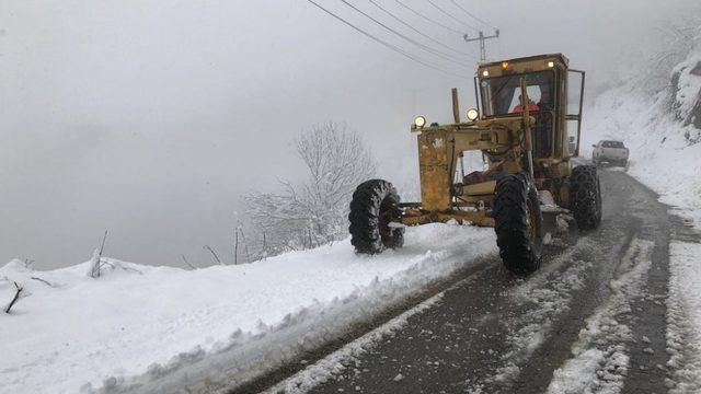 Ordu, hazır kıta