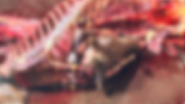 Gıdada skandal bitmiyor! Piyasaya sürmüşler: Tam 2,5 ton tek tırnaklı hayvan eti ele geçirildi