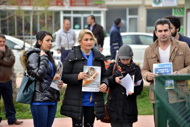 Diyarbakır'da sokak kedileri için 20 ev yapıldı