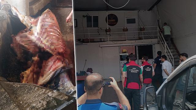 Et skandalları devam ediyor... Bu sefer adres Adana! 2.5 ton ele geçirildi: 4 tanesi son anda kurtarıldı