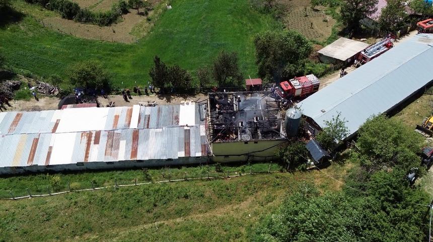 Tavuk çiftliğinde yangın: Binlerce hayvan telef olmaktan son anda kurtarıldı