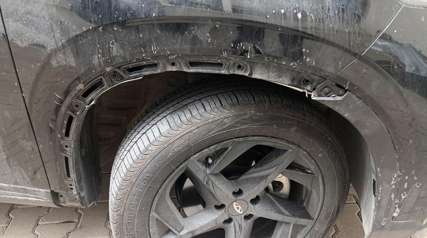 Sahipsiz köpek sürüsü park halindeki araca saldırarak zarar verdi