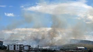 Ayvacık'ta otluk alanda başlayan yangın yerleşim yerlerine sıçramadan kontrol altına alındı