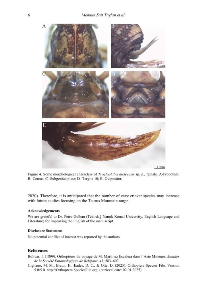 Türkiye'nin 17'ncisi oldu! Daha önceki hiçbir kayıtta yok...  G5