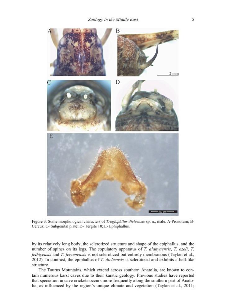 Türkiye'nin 17'ncisi oldu! Daha önceki hiçbir kayıtta yok...  G4