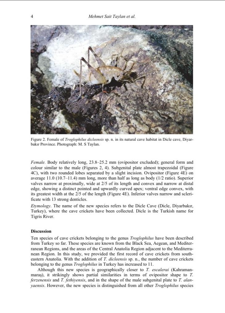 Türkiye'nin 17'ncisi oldu! Daha önceki hiçbir kayıtta yok...  G2