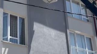 İpe takılarak mahsur kalan kuş kurtarıldı