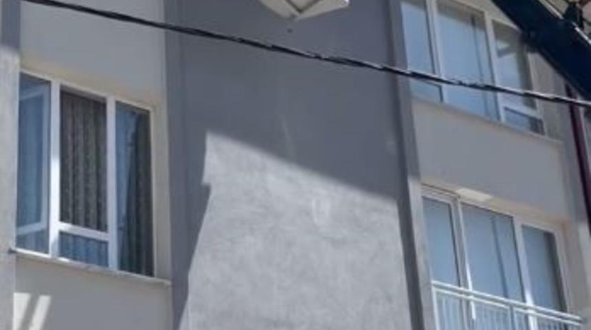 İpe takılarak mahsur kalan kuş kurtarıldı