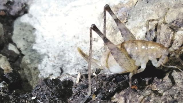 Türkiye'nin 17'ncisi oldu! Daha önceki hiçbir kayıtta yok... 