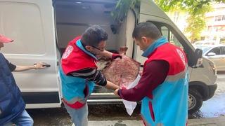 Sinop'ta kaçak avlanan 363 kalkan balığı vatandaşlara dağıtıldı