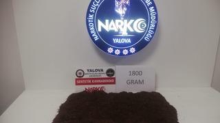 Yer: Yalova! Evinde uyuşturucu bulunan zanlı tutuklandı