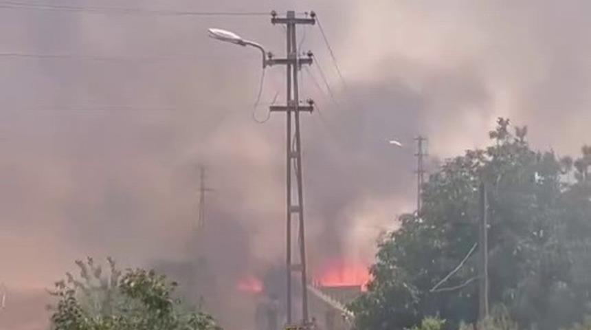 Ekin yangını korkuttu