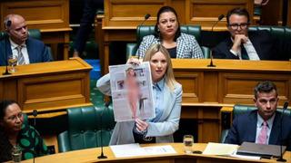 Milletvekili 'çıplak' resmini göstererek yasa teklifinde bulundu! Böyle eylem görülmedi: Gerçekle neredeyse bire bir...