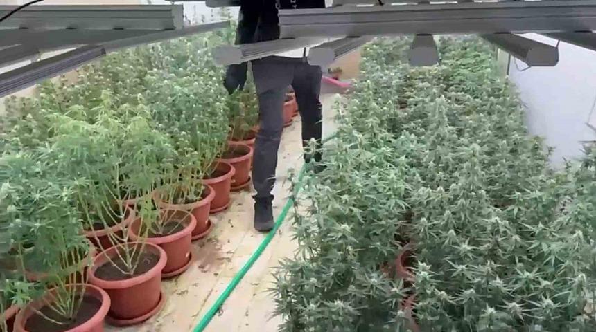 Villayı kenevir bahçesine çevirmişler