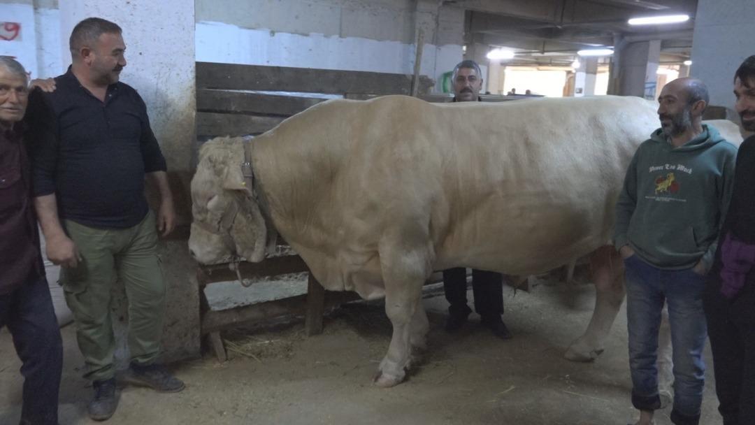 1200xauto 4 katlı, görenlerin dikkatini çekiyor: Türkiye'nin dört bir yanından geliyorlar! Hareketlilik arttı