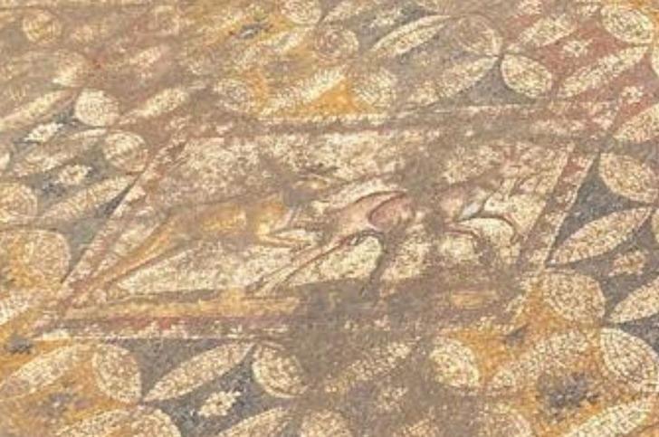 Yer: Bursa... Dünyada ilk kez görüldü! Evin etrafı hemen kapatıldı, giriş yasaklandı G3