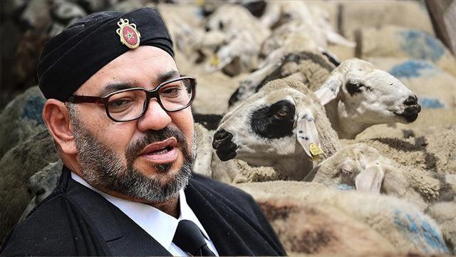 Fas'ta kurbanlık operasyonu! Kesim yapmak tamamen yasak: Kuraklık ve ekonomi ibadete ket vurdu