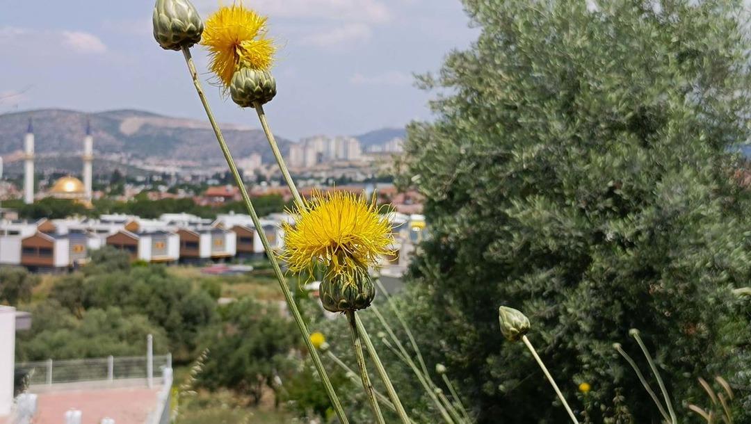 TULUSAHI-KOPARMANIN-CEZASI-557-BIN-TL_746146_220247