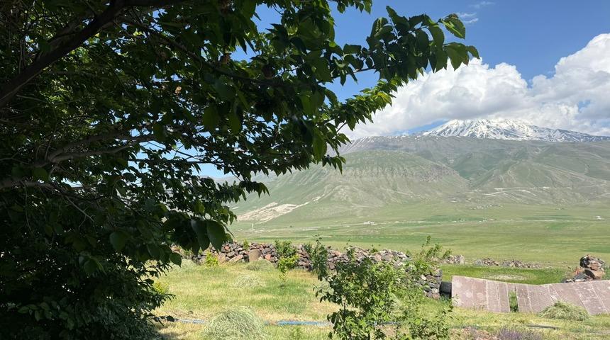 Iğdır’da çorak arazi ağaçlarla yeşeriyor