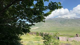 Iğdır’da çorak arazi ağaçlarla yeşeriyor