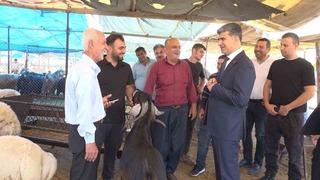 Kurban Bayramı öncesi Akdeniz’de kurban satış yerleri hazır