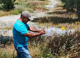 Bu çiçeği koparmanın bedeli 557 bin TL! 'Kuşadası'nın sembolü haline geldi'