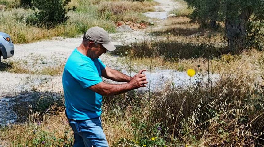 Bu çiçeği koparmanın bedeli 557 bin TL! 'Kuşadası'nın sembolü haline geldi'
