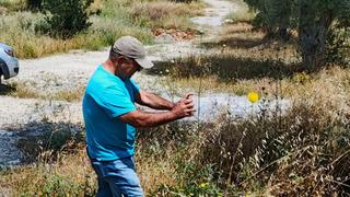 Bu çiçeği koparmanın bedeli 557 bin TL! 'Kuşadası'nın sembolü haline geldi'