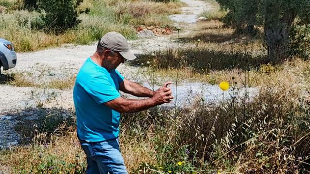 Bu çiçeği koparmanın bedeli 557 bin TL! 'Kuşadası'nın sembolü haline geldi'