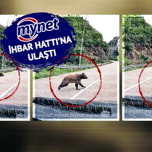 Son Dakika Haber Görseli