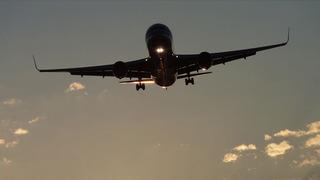 Uçakta panik anlar: Herkesi ısırmaya kalktı! Olay sırasında 4 kişi yaralandı