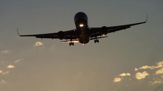 Uçakta panik anlar: Herkesi ısırmaya kalktı! Olay sırasında 4 kişi yaralandı